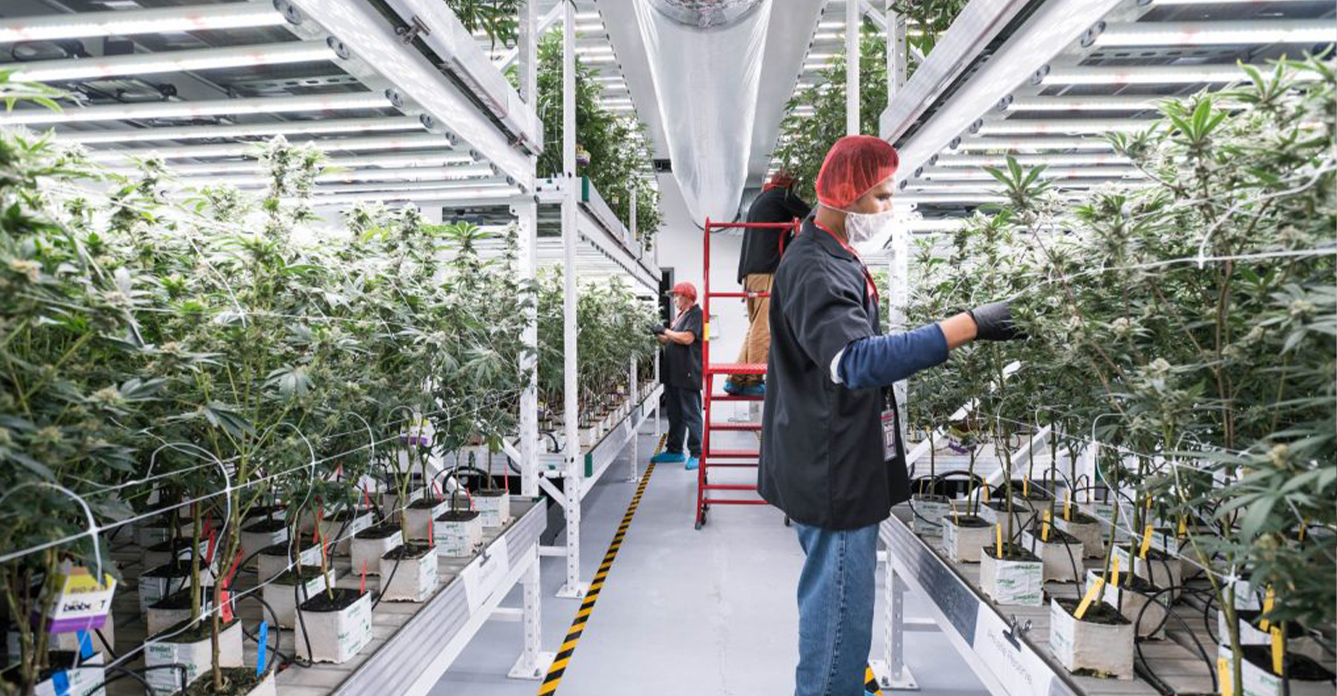 A New Normal That Has Evolved